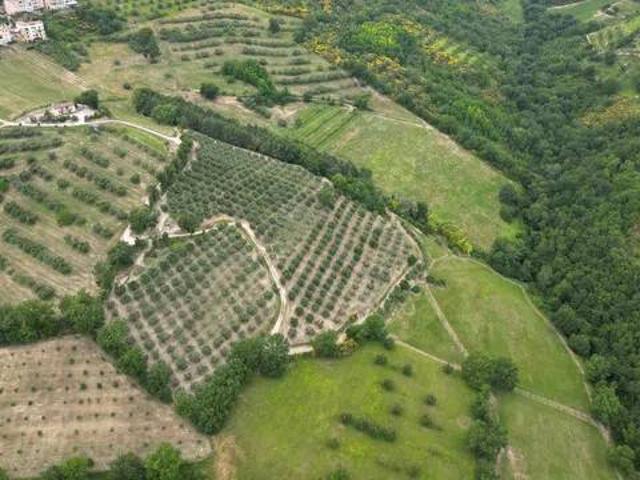 Terreno in vendita a Sant'Erminio, Cenerente