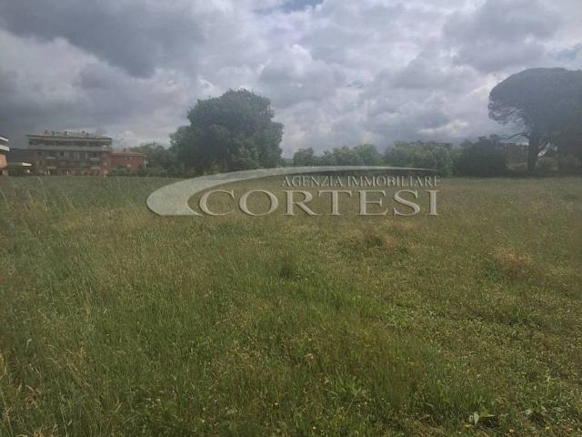 Terreno in vendita a Cenerente, Umbria