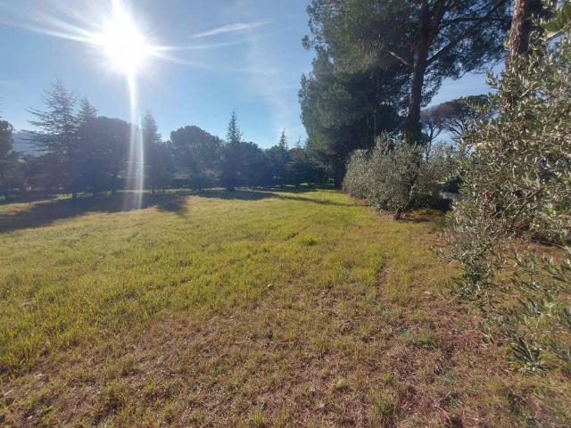 Terreno in vendita a Cenerente, Umbria