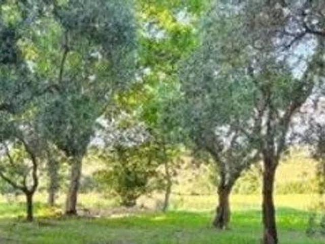 Terreno in vendita a Badiola, Marsciano
