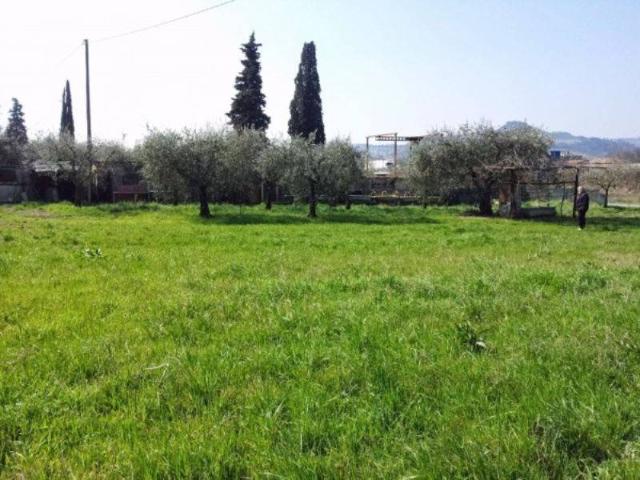 Terreno in vendita a Bosco, Perugia