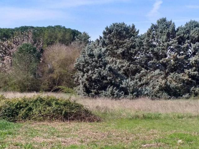 Terreno in vendita a Castel del Piano, Perugia