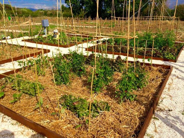 Terreno in vendita a Pila, Perugia