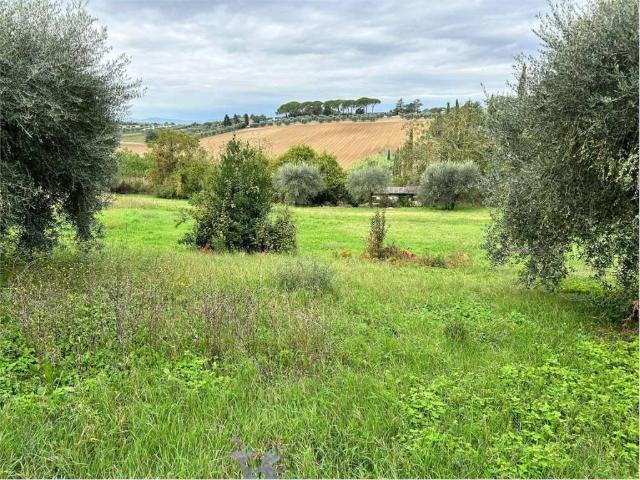 Terreno in vendita a Cenerente, Umbria