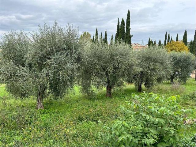 Terreno in vendita a Cenerente, Umbria