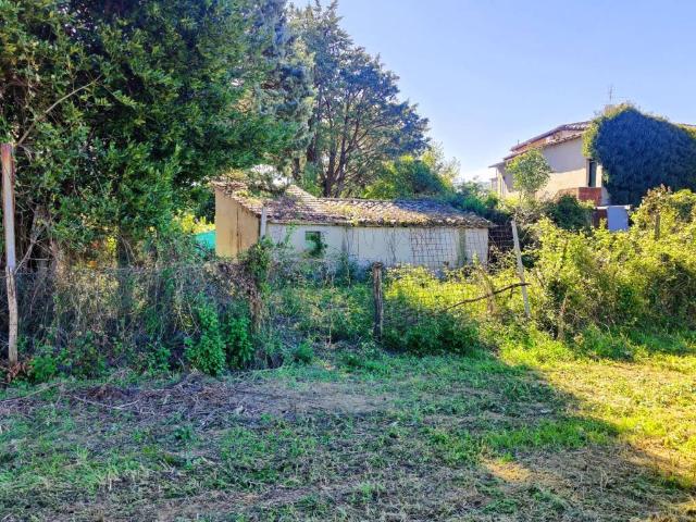 Terreno in vendita a Cenerente, Umbria