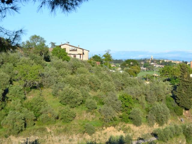 Terreno in vendita a Cenerente, Umbria