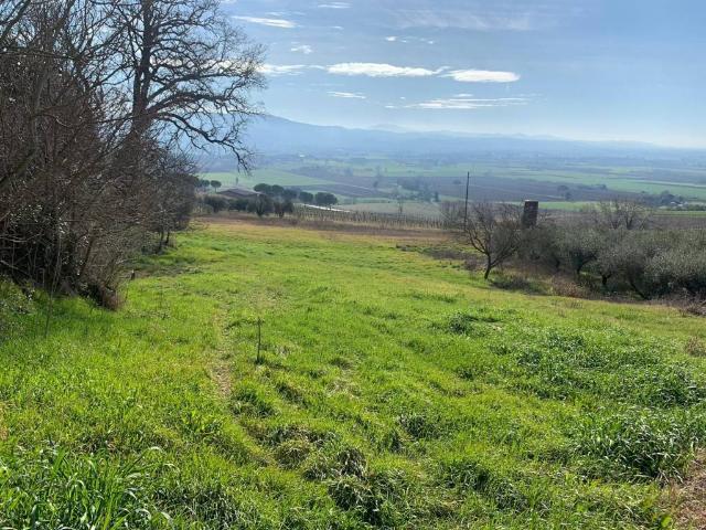 Terreno in vendita a Cenerente, Umbria