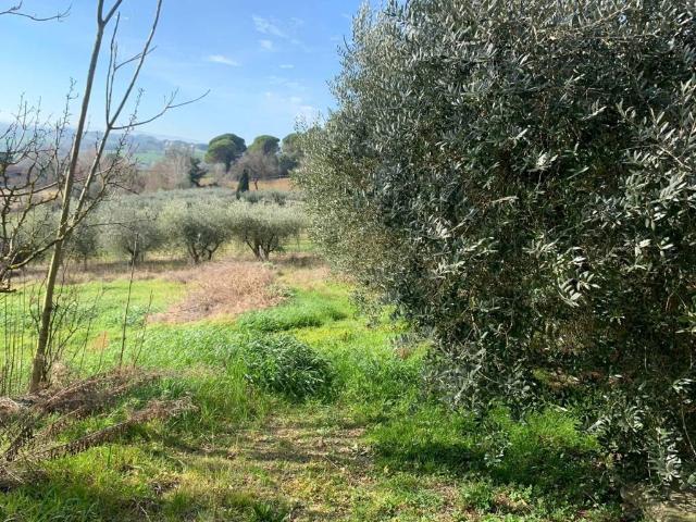 Terreno in vendita a Cenerente, Umbria