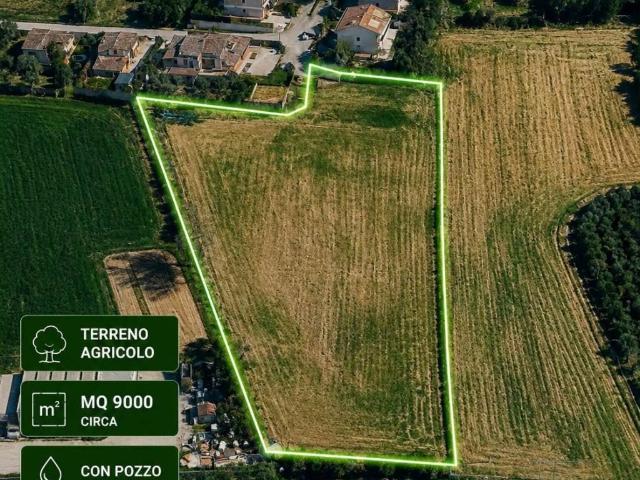 Terreno in vendita a Cenerente, Umbria