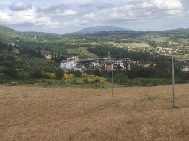 Terreno in vendita a Cenerente, Umbria