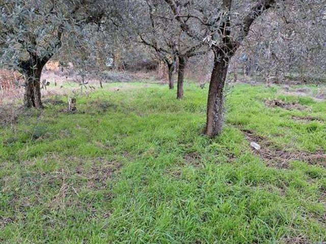 Terreno in vendita a Cenerente, Umbria