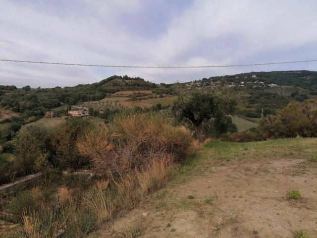 Terreno in vendita a Cenerente, Umbria