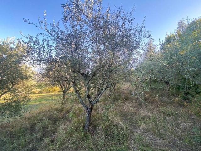 Terreno in vendita a Val Vitiano, Perugia