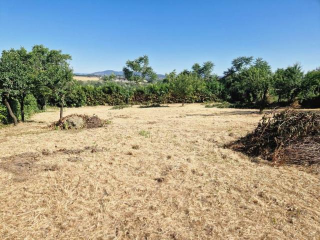 Terreno in vendita a San Martino in Colle, Perugia