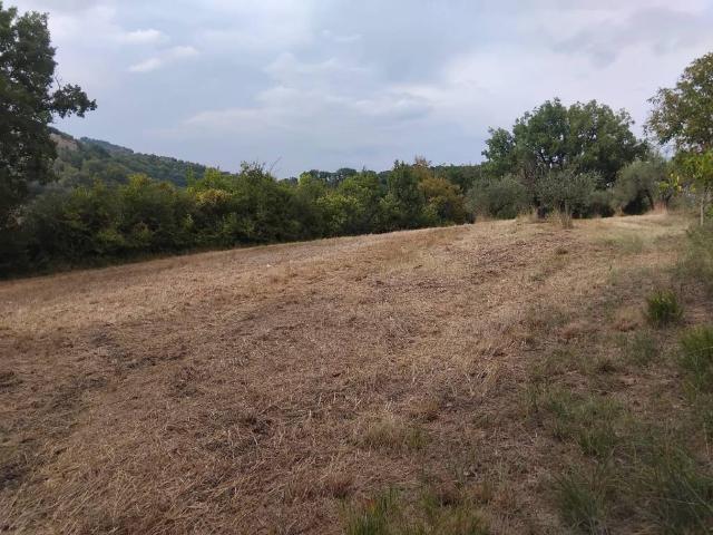 Terreno in vendita a Cenerente, Umbria