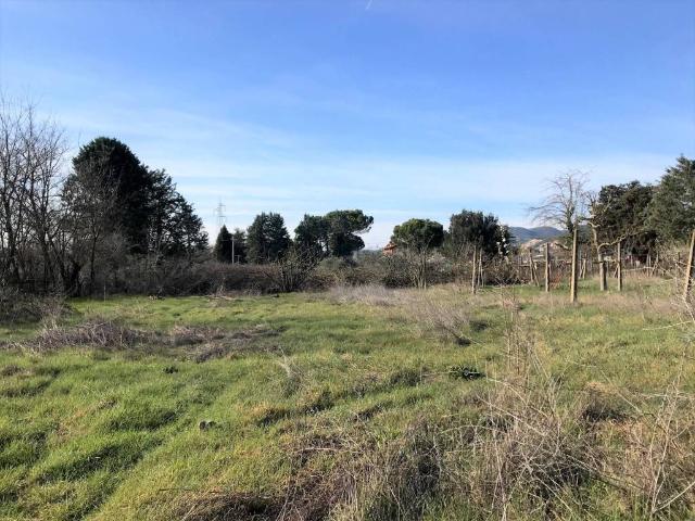Terreno in vendita a Cenerente, Umbria