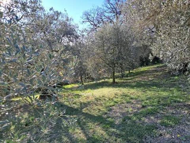 Terreno in vendita a Casaglia, Cenerente