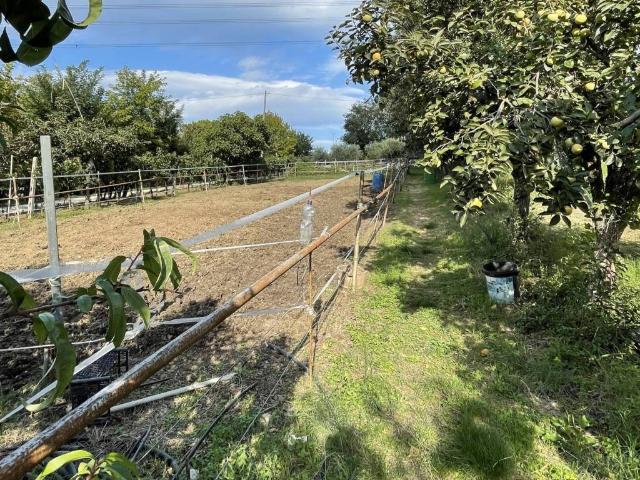 Terreno in vendita a Case Bruciate, Pesaro