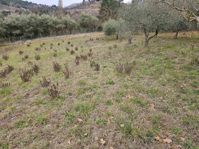 Terreno in vendita a Muraglia, Pesaro