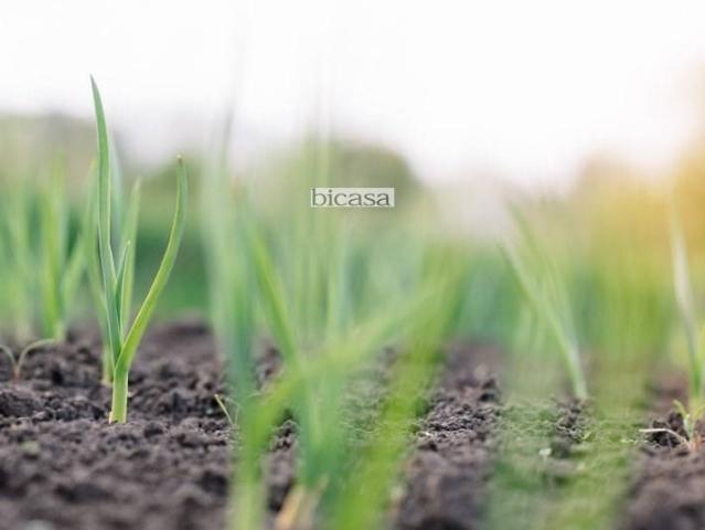 Terreno in vendita a Marche, Pesaro E Urbino