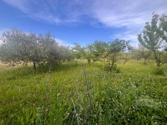 Terreno in vendita a Marche, Pesaro E Urbino