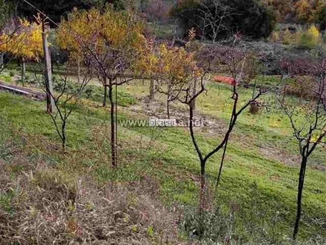 Terreno in vendita a Marche, Pesaro E Urbino