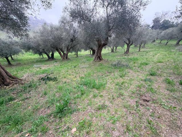 Terreno in vendita a Villa Fastiggi, Marche