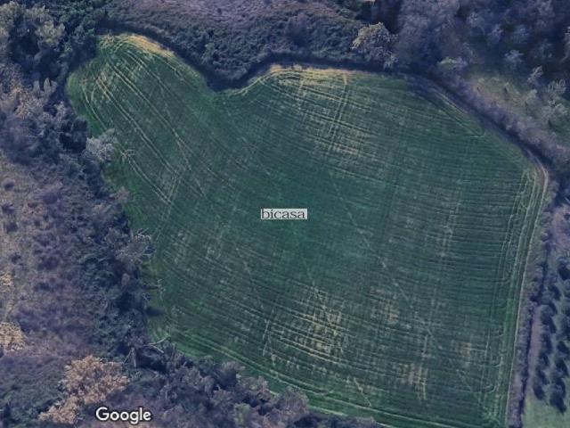 Terreno in vendita a Marche, Pesaro E Urbino