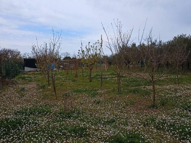 Terreno in vendita a Villa Fastiggi, Marche