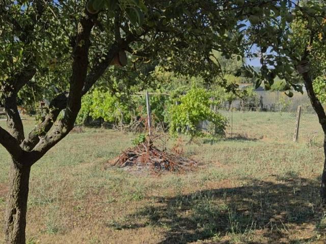 Terreno in vendita a Case Bruciate, Marche