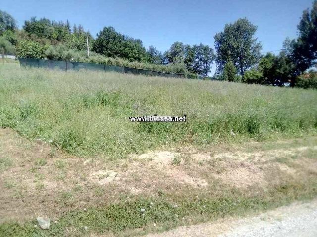 Terreno in vendita a Santa Veneranda, Marche