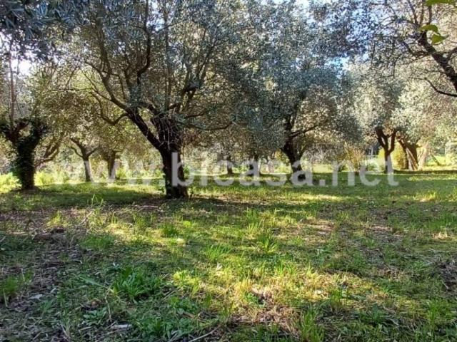 Terreno in vendita a Ghetto di Trebbiantico, Pesaro