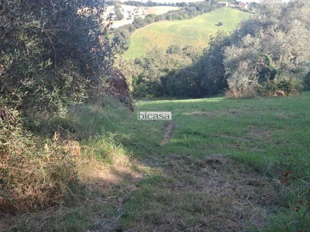 Terreno in vendita a Marche, Pesaro E Urbino