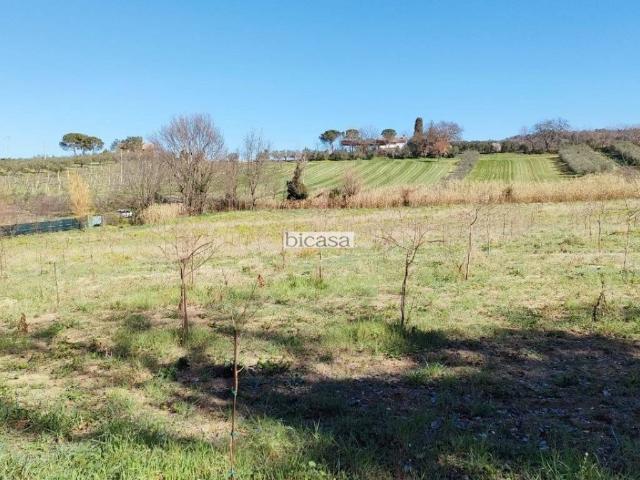 Terreno in vendita a Marche, Pesaro E Urbino