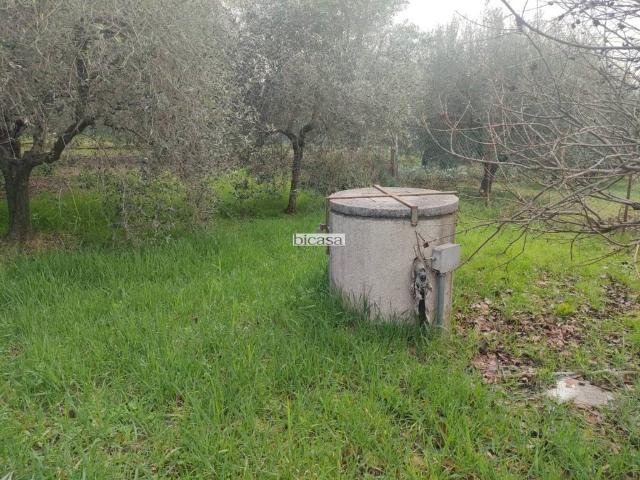 Terreno in vendita a Ponte Selva Grossa, Marche