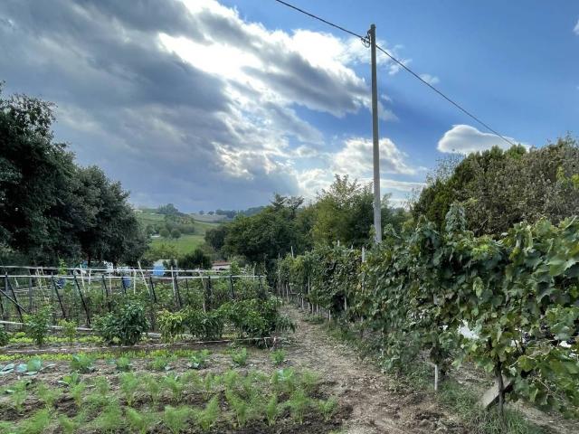 Terreno in vendita a Case Bruciate, Marche