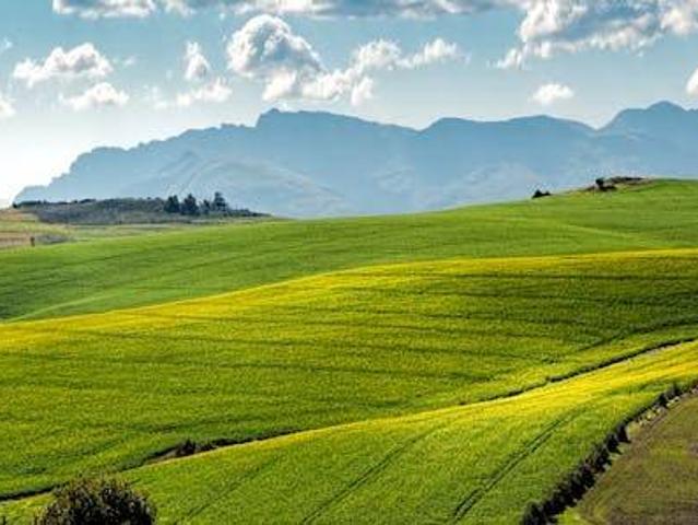 Terreno in vendita a Novilara, Pesaro