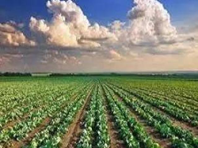 Terreno in vendita a Torraccia, Pesaro