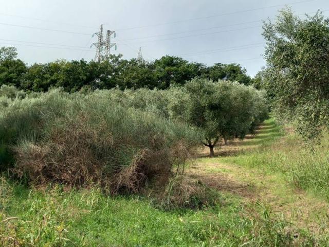 Terreno in vendita a Ponte Valle, Marche