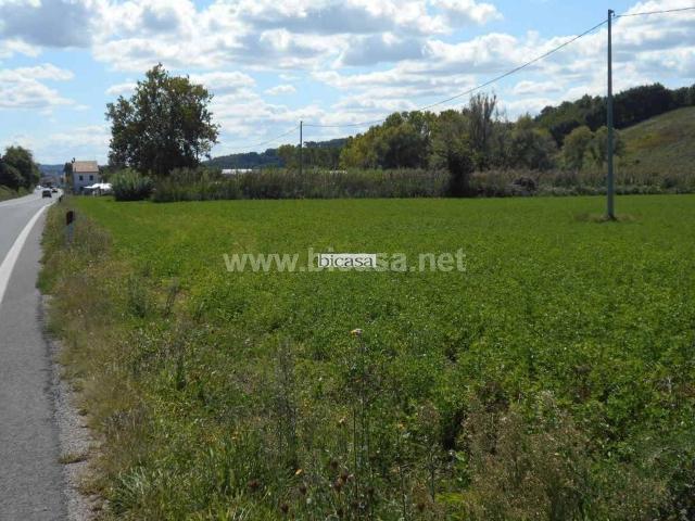Terreno in vendita a Marche, Pesaro E Urbino