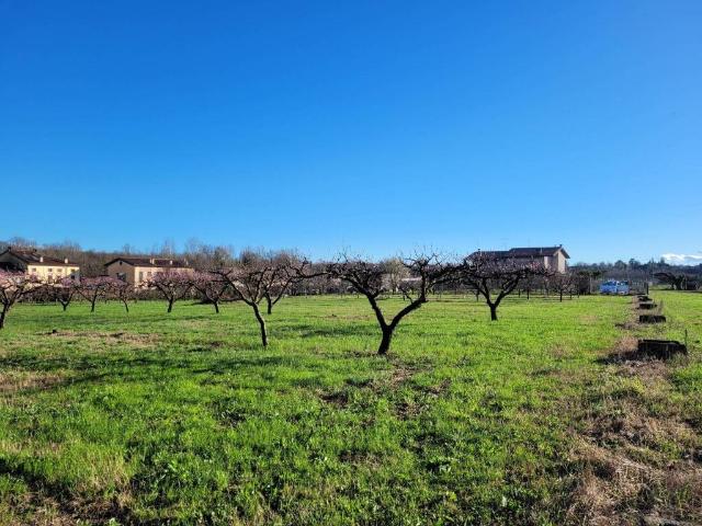 Terreno in vendita a Pescantina, Veneto