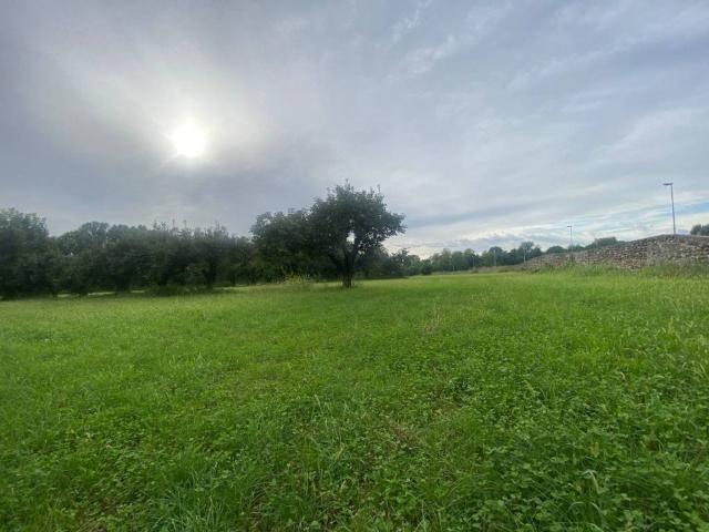Terreno in vendita a Pescantina, Veneto