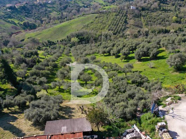 Terreno in vendita a Pescara Colli, Pescara