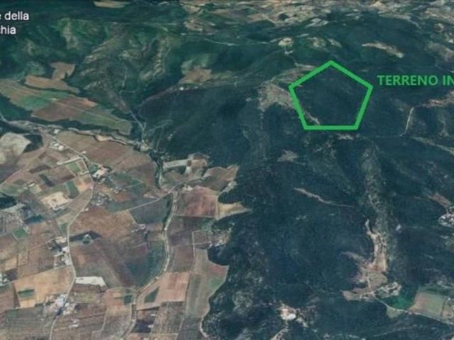 Terreno in vendita a Puglia, Foggia