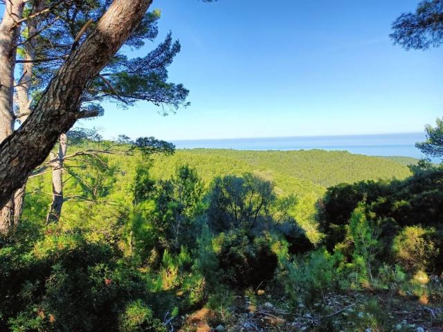 Terreno in vendita a Puglia, Foggia