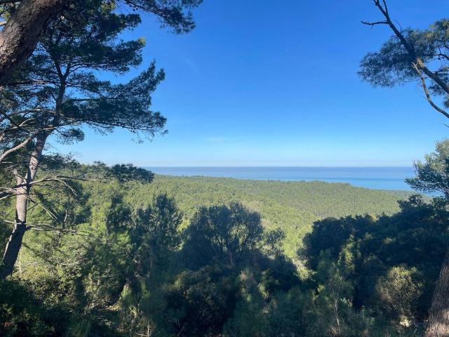 Terreno in vendita a Puglia, Foggia
