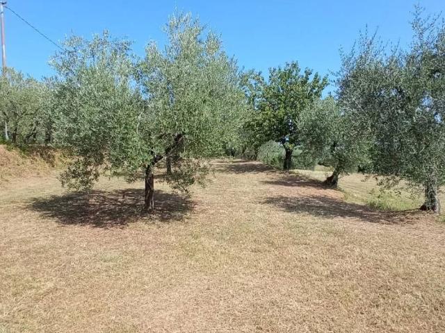 Terreno in vendita a Pescia, Veneri