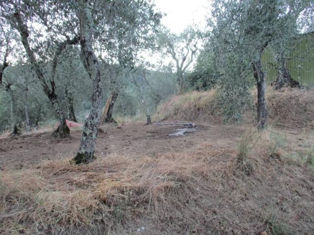Terreno in vendita a Pescia, San Lorenzo a Cerreto