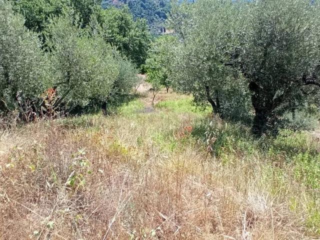 Terreno in vendita a Pescia, San Quirico